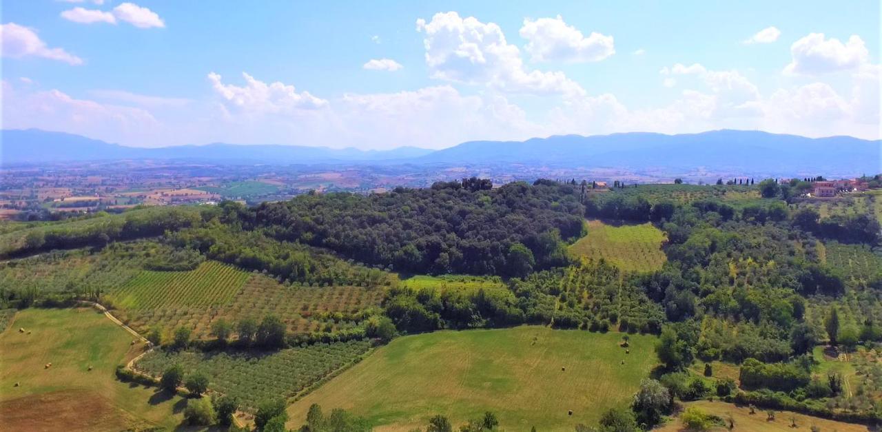 Agriturismo Camiano Piccolo Montefalco Eksteriør bilde