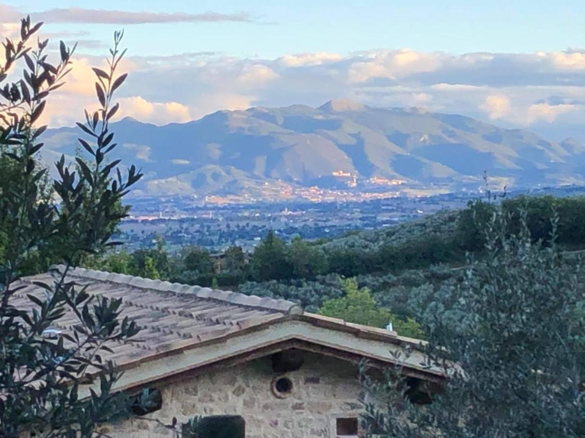 Agriturismo Camiano Piccolo Montefalco Eksteriør bilde