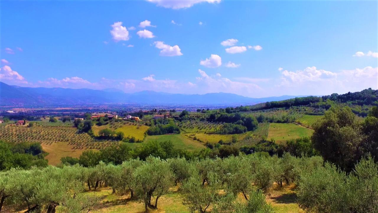Agriturismo Camiano Piccolo Montefalco Eksteriør bilde