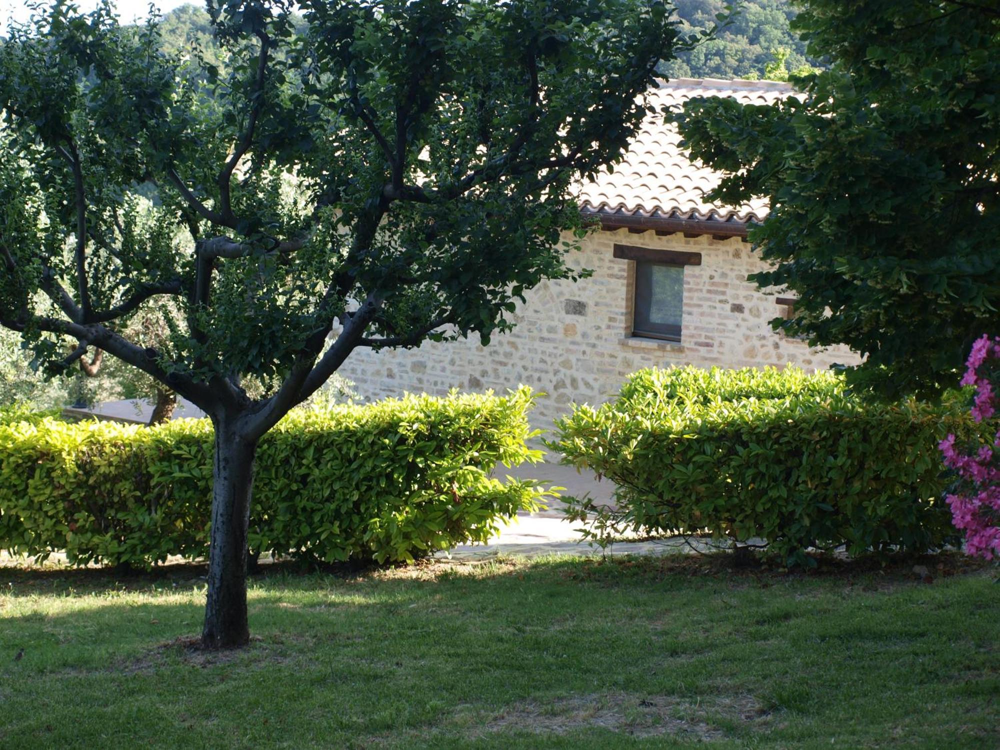 Agriturismo Camiano Piccolo Montefalco Eksteriør bilde